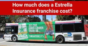 Estrella-Insurance-franchise