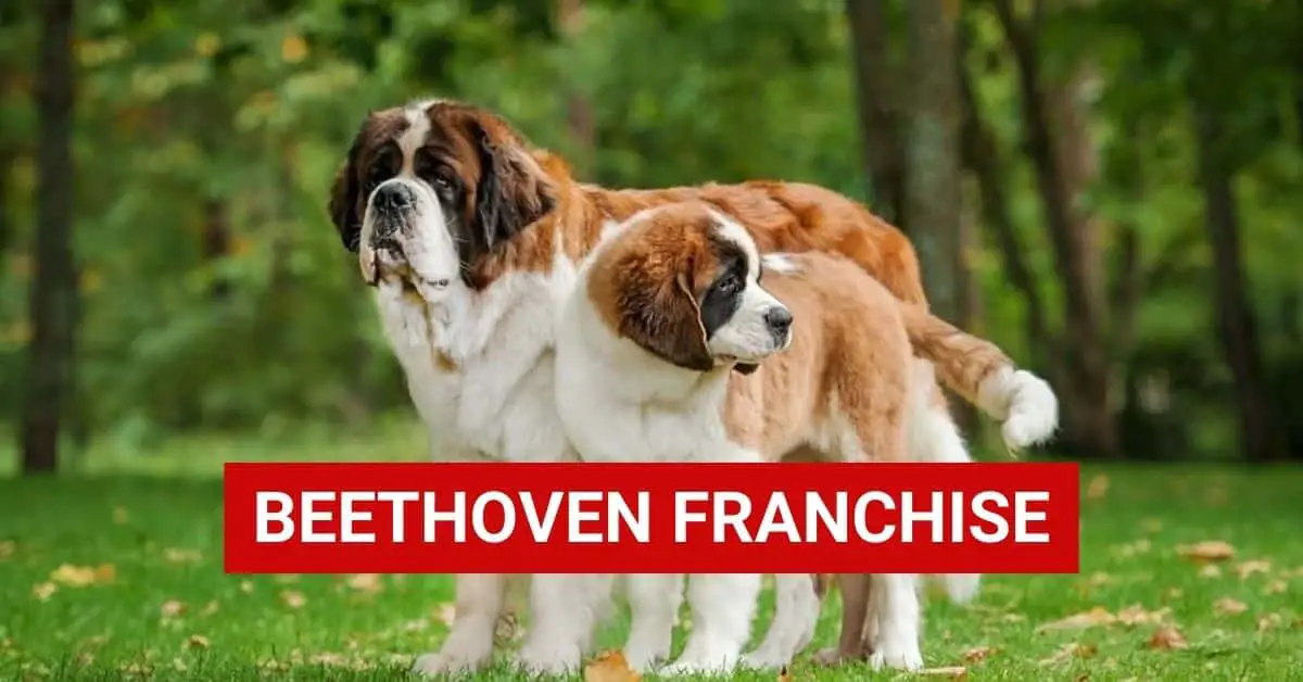 Beethoven Franchise