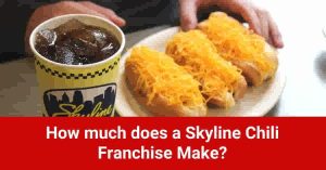 skyline-chili-franchise